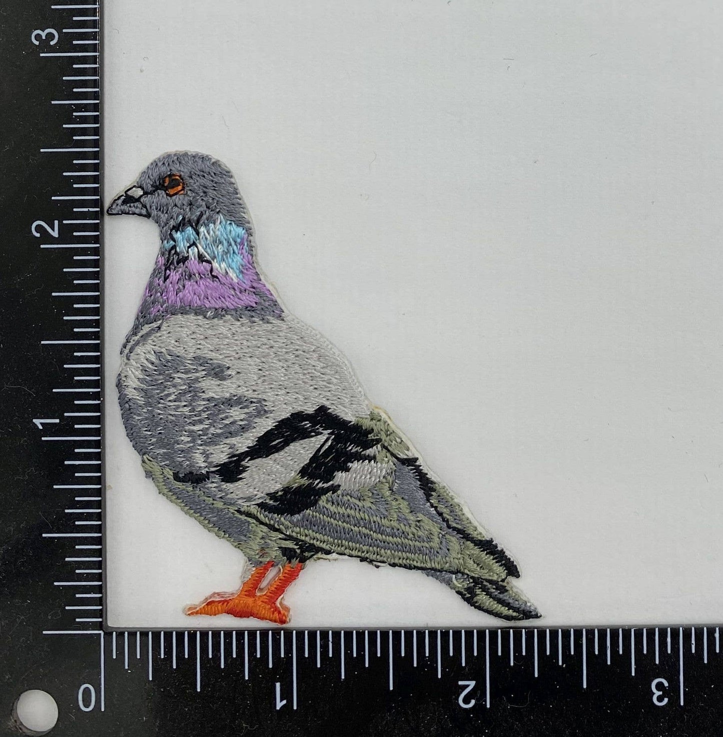 Rock Dove Pigeon, Birds, Iron on Patch