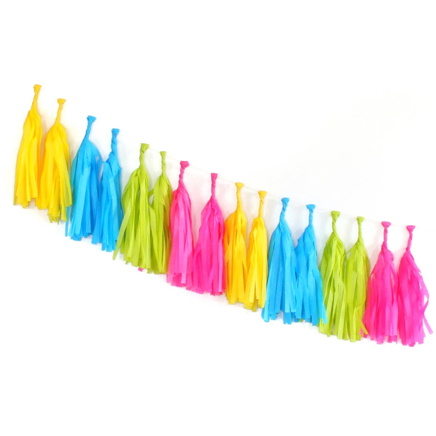 Neon Tassel Garland Kit