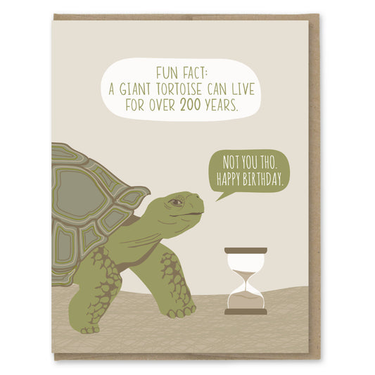 Fun Fact Tortoise Fact Funny Birthday Card