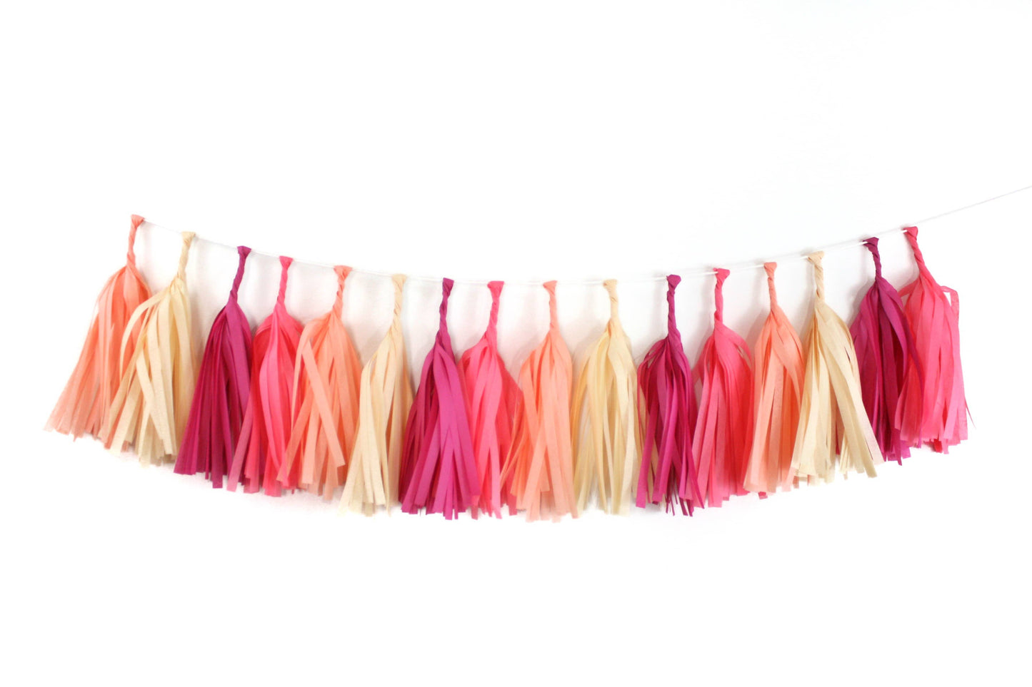 Macaron Tissue Tassel Kit