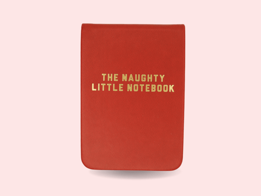 The Naughty Little Notebook Red Leatherette Pocket Journal