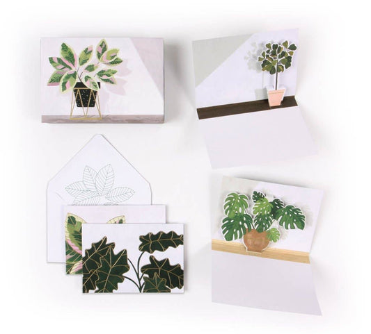 Potted Plants Card Box Set
