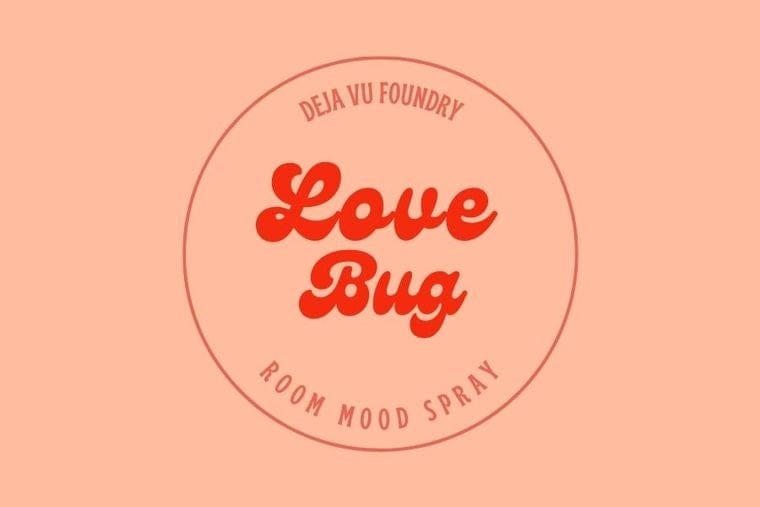 Love Bug Valentine's Day Room Spray 2oz
